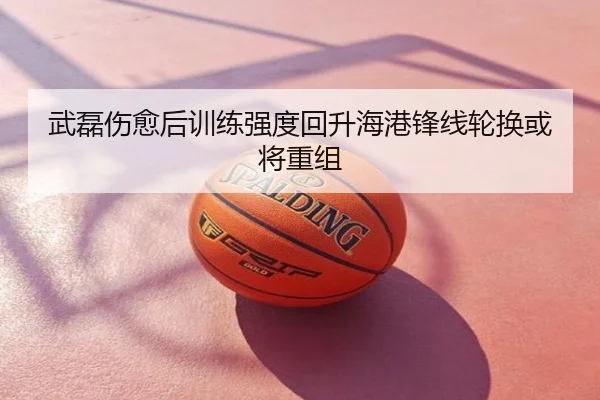 武磊伤愈后训练强度回升海港锋线轮换或将重组